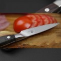 Dellinger CLASSIC malý kuchařský nůž na zeleninu santalové dřevo 9 cm